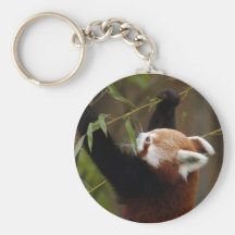 red-panda-021 schlüsselband