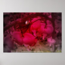 red tinted red bleeding hearts poster