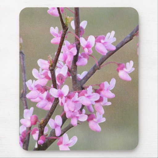 Redbud Blüte Mousepads