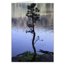 Reflexion auf dem Wasser Karte