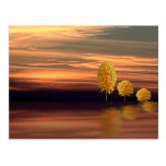 Reflexionen von Blume drei im Sonnenuntergang Postkarte