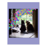 Regenbogen-Brückenkatzen-Beileidpostkarte
