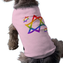 Regenbogen-Davidsstern Hundehemden Hunde T Shirt
