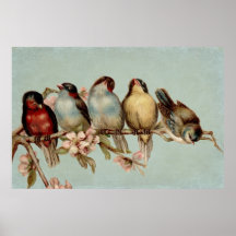 Regenbogen der Vögel Plakatdruck