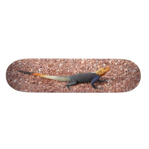 Regenbogen-Eidechse Personalisierte Skatedecks