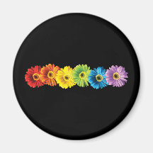 Regenbogen-Gänseblümchen Kühlschrankmagnete