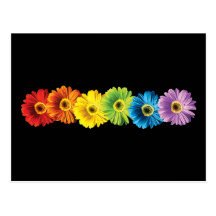 Regenbogen-Gänseblümchen Postkarten