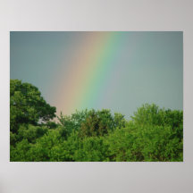 Regenbogen über dem Baum-Plakat