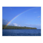 Regenbogen-und Palme-Insel Postkarte