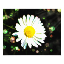 Regenbogen verzauberter Blumen-Garten-Druck Foto Druck