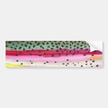 Regenbogenforelle-Fischen Autosticker
