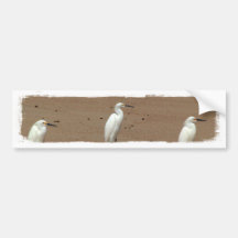 Reiher, die auf Strand bummeln Auto Sticker