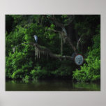 Reiher und fauler Fluss-Plakat-Druck