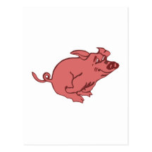 rennendes Schwein running pig Postkarten