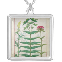 Reseda, Euphorbiengummi und Dianthus Schmuck