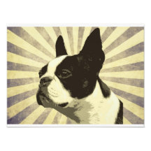 Retro Boston terrior Photo Druck
