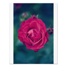 Retro Rose Photographischer Druck