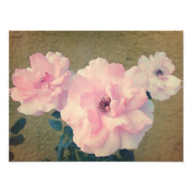 Retro Rosen 1 Kunstfotos