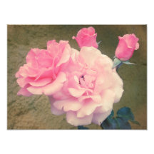 Retro Rosen 2 Fotodruck