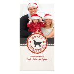 Retro Weihnachtsgolden retriever-Gewohnheits-Foto Photo Grußkarte