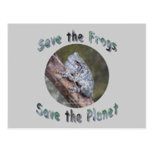 Retten Sie graues Treefrogs Postkarten