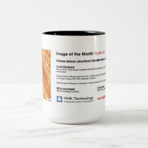 RHK Technologie - Kaffeetasse Sept. 2012 IOM