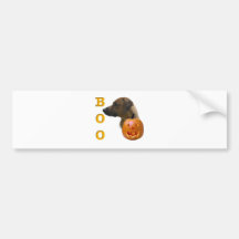Rhodesian Ridgeback Boo Autosticker