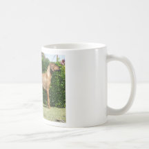 Ridgeback Stck Kaffee Tasse