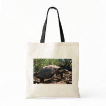 Riesige Schildkröte Galapagos (kuppelförmige Art)  taschen