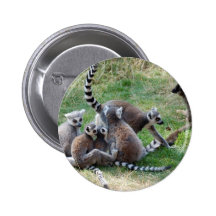 Ring angebundene Lemurfamilie Anstecknadel