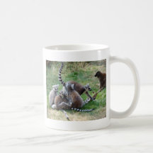 Ring angebundene Lemurfamilie Teehaferl