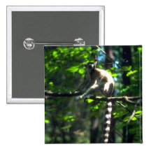 Ring-Angebundener Lemur im Baum Anstecknadelbuttons