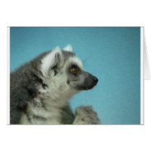 Ring-angebundener Lemur-Klassiker Karten