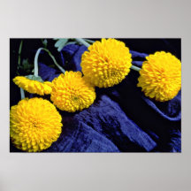 Ringelblumen, auf Gewebe-Blumen Plakatdrucke