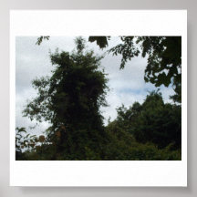 Robert 057 plakat