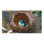Robin-Eier in einem Hinterhof-Baum-Nest Visitenkarten