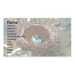 Robin-Eier in einem Hinterhof-Baum-Nest Visitenkarten