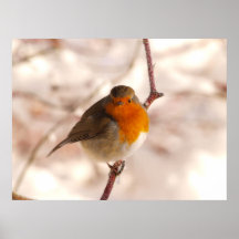 Robin im winterland plakatdruck