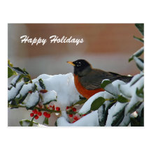 Robin in der Schnee-Postkarte