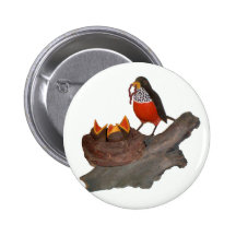 Robin mit Babys Anstecknadel