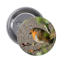 Robin mit seinem Wurm Anstecknadel