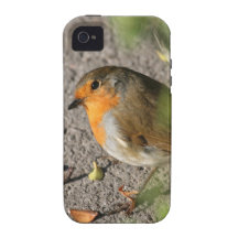 Robin mit seinem Wurm Vibe iPhone 4 Hülle