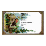 Robin u. Birdhouse-viktorianische Einklebebuch-Kar Visitenkarten