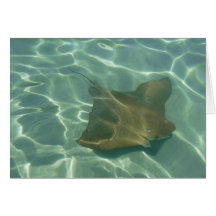 Rochen im Meer Grußkarte