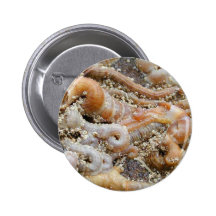 Rohr-Wurm-Muschel-Ozean Button