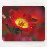 Romance Rose und Bedeutung Mousepad