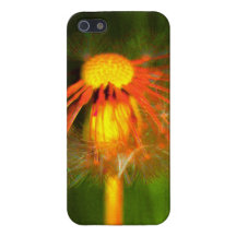 Romantische Handyhülle iPhone 5 Cover