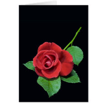 Romantische Rosen-Karte