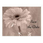 Rosa abgetönte Gänseblümchen-Save the Date Mitteil Postkarte
