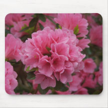 Rosa Azalee Mousepads